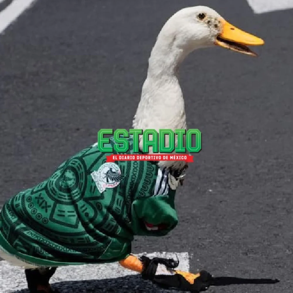 ¿Debe pagar FIFA? Calderón pide apoyo económico para la familia del pato Merlín, embajador viral del Mundial 2026