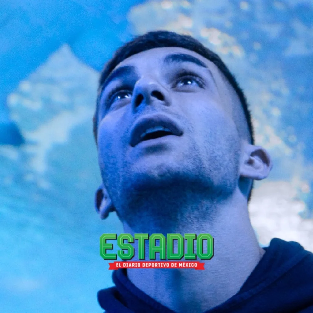 ¡Como un auténtico Tiburón! Oceanogràfic nombra a un tiburón gris en honor a Ferran Torres