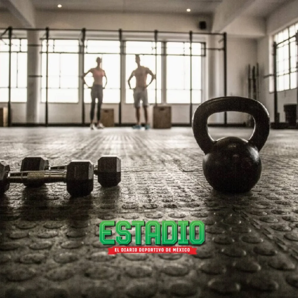 Ganar masa y rendir en el gimnasio: ¿qué mirar en los suplementos?