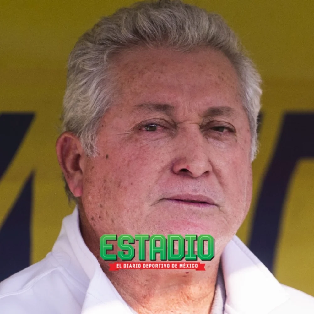 Tigres sigue en crisis: llega Vucetich a la dirección técnica, pero se va Gerardo Torrado
