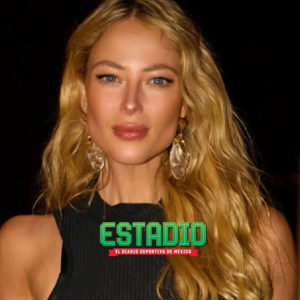 ¿Quién seguía a Vanessa Huppenkothen? La SSC ya localizó la camioneta