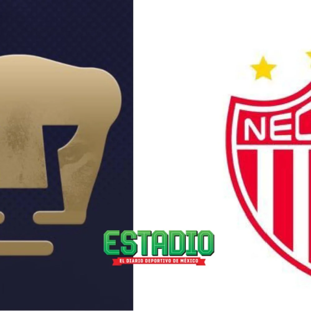 Pronósticos Pumas vs Necaxa: las predicciones para la Liga MX